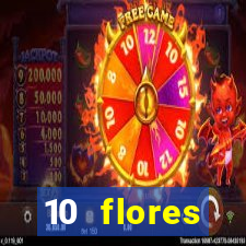 10 flores silvestres da regi o sudeste